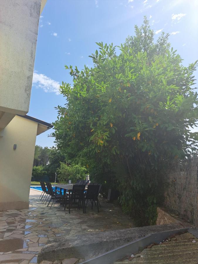 Villa Eucaliptus Istrien Rovinj Exteriör bild